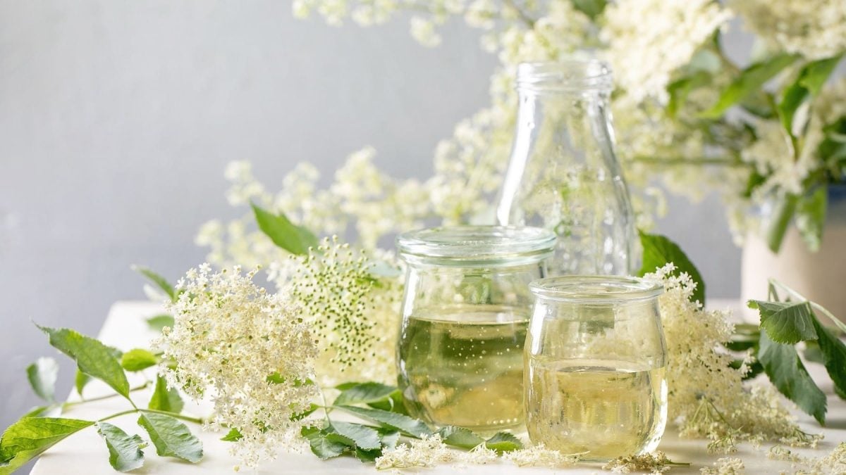 Holünder-Blüten-Sirup selber machen und in einer Karaffe und runden Gläsern auf einem mit Blüten verzierten Tisch servieren.