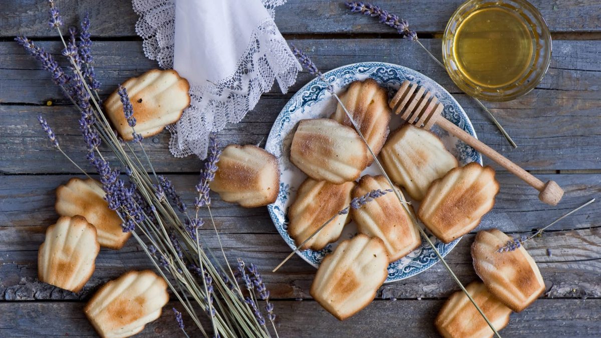 Fluffige Madeleines mit Honig auf dunklem Holzuntergrund, daneben Sträucher und Honig