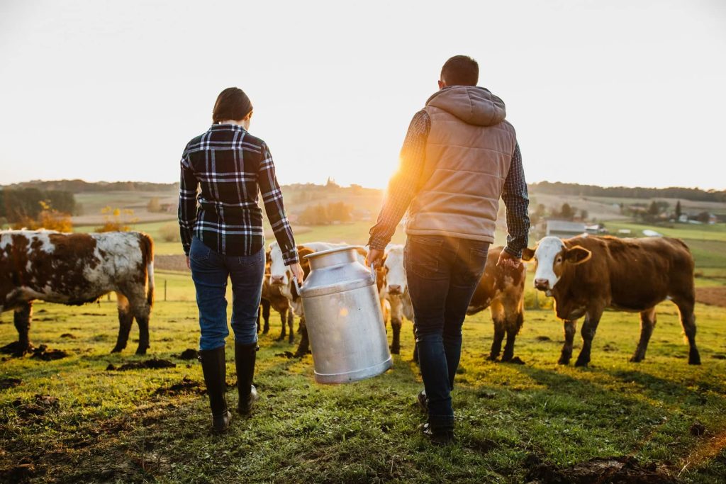 Zum Tag der Milch: Wie erkennt man Milch aus artgerechter Tierhaltung?
