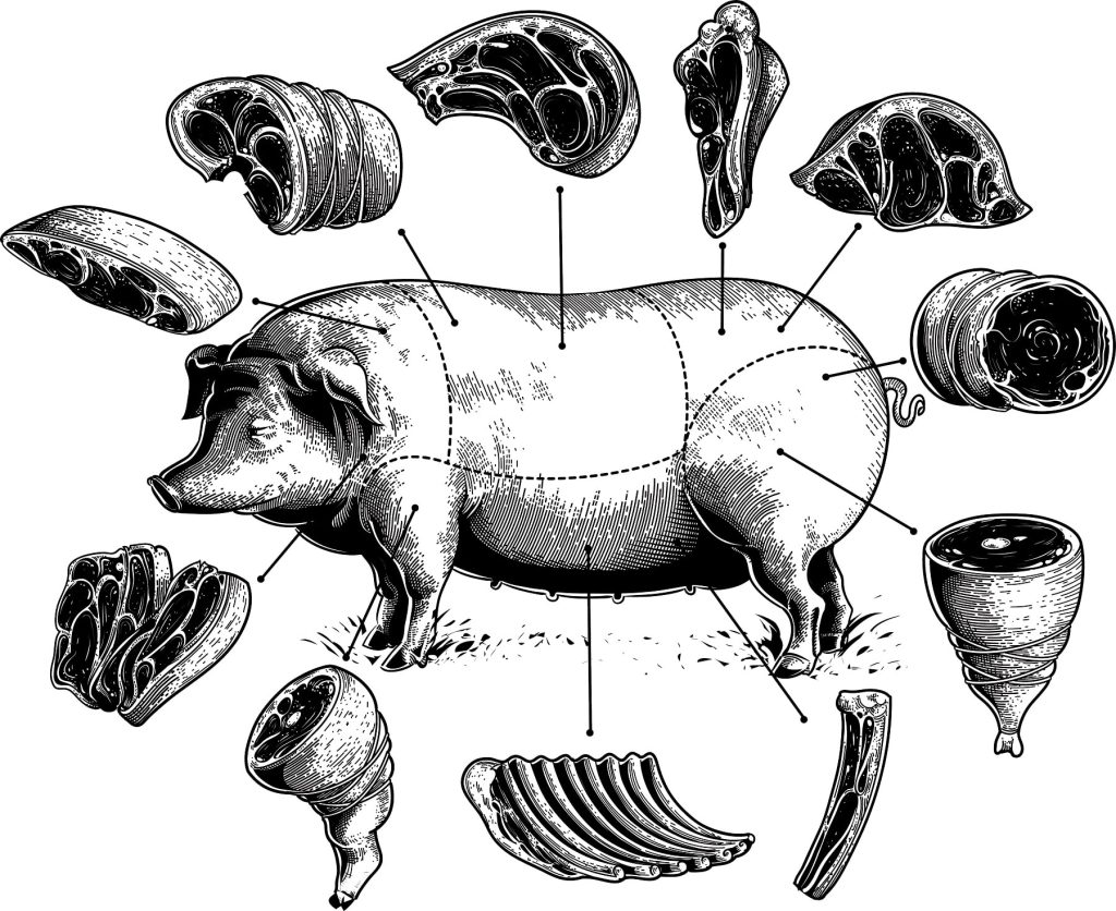 Nose-to-Tail-Verarbeitung: Mehr als nur Filet