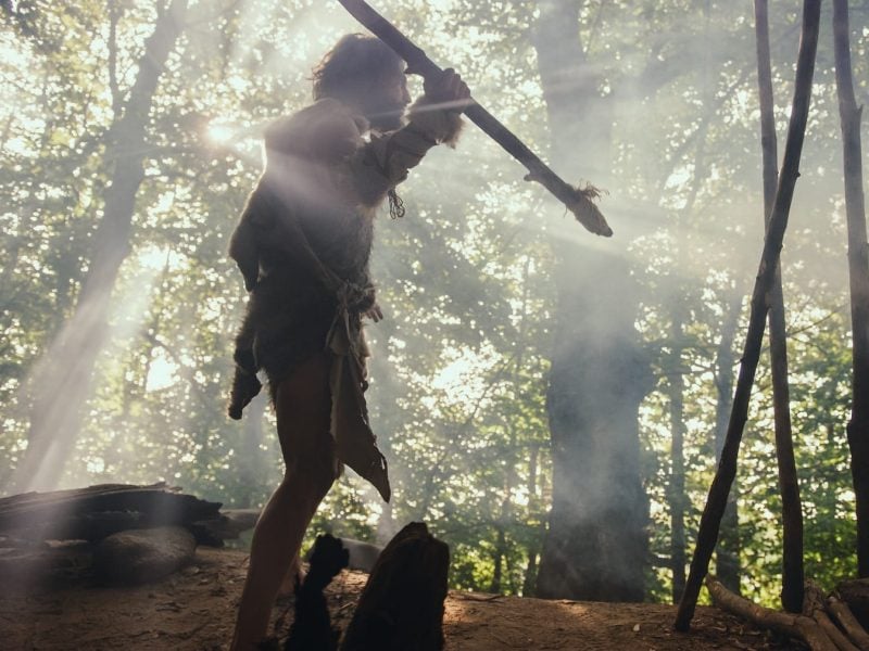 Steinzeitmensch läuft durch den Wald und sammelt Essen für die Paleo-Diät