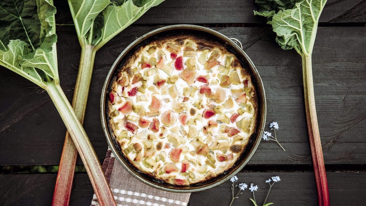 Rhabarber-Erdbeer-Cheesecake in der Draufsicht, daneben Rhabarberstängel und Blüten.