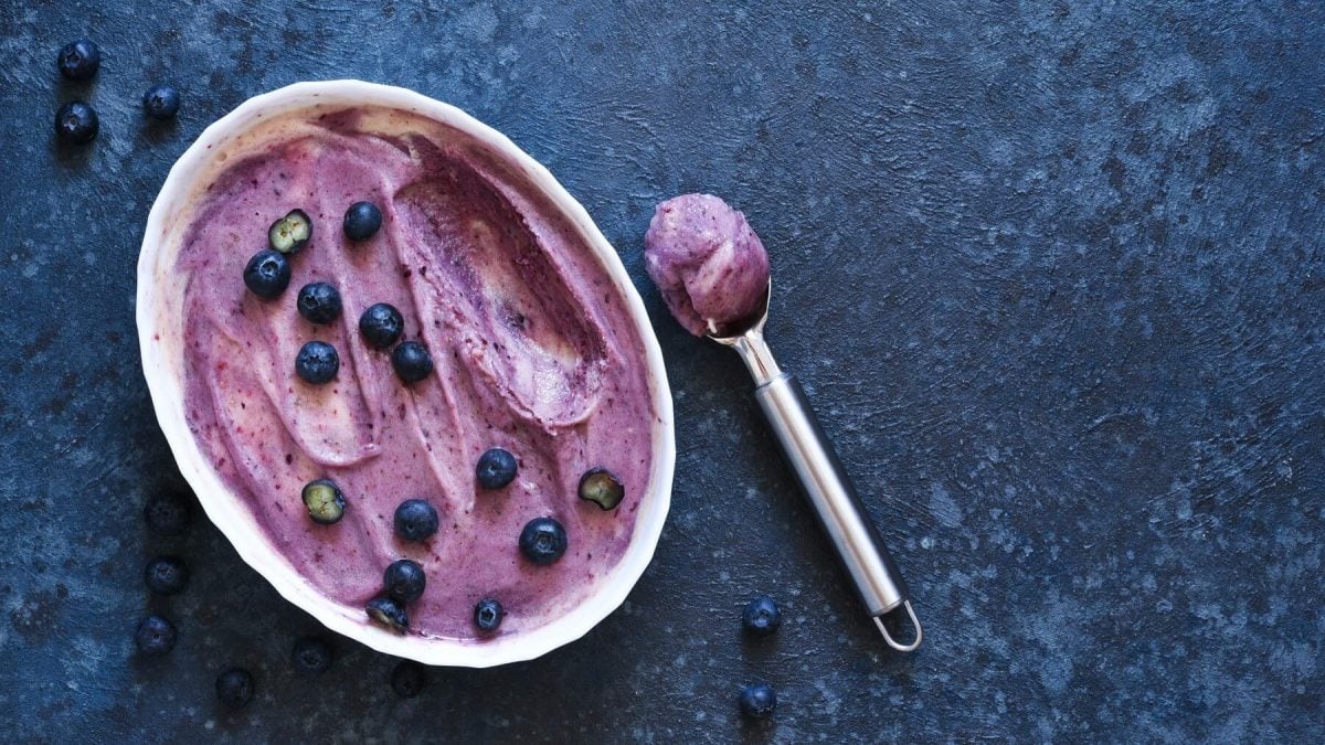 Eine weiße Schale mit Heidelbeer-Buttermilch-Sorbet steht auf einem blauen Untergrund. Das Sorbet ist angerichtet mit einigen Heidelbeeren. Neben der Schüssel liegt ein Eisportionierer mit einer Portion Sorbet.