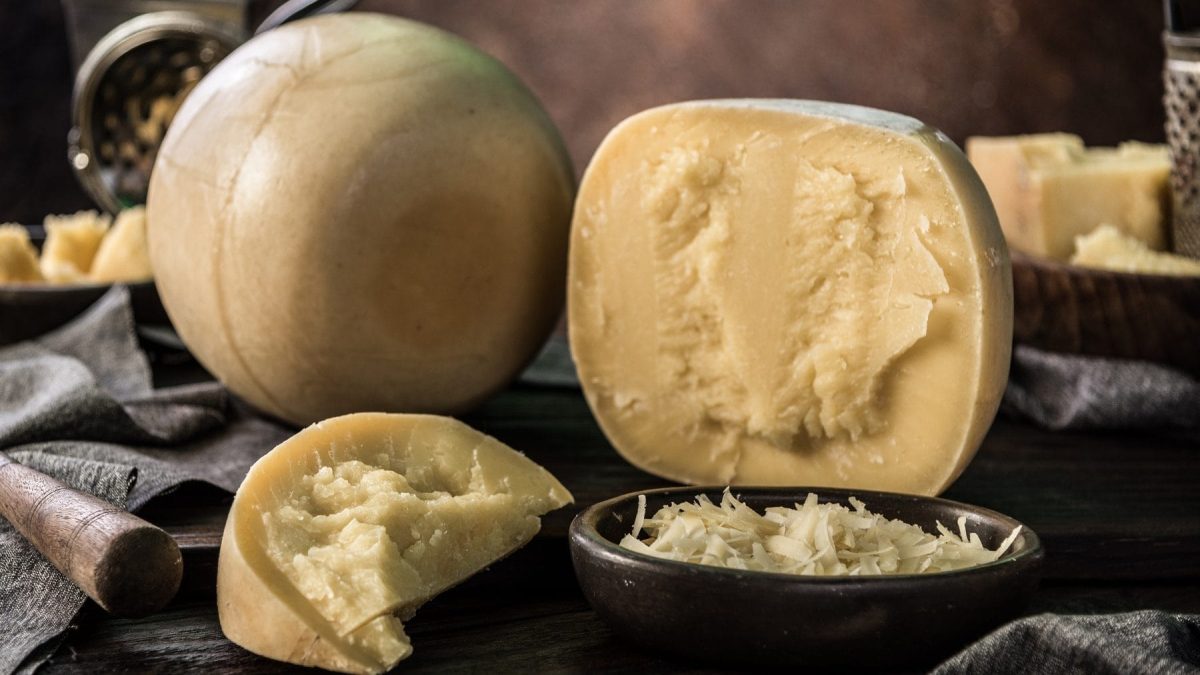 Mehrere Schweizer Käselaibe sind zu sehen. Eine runder, ein halbrunder, ein gebrochene Stück und geriebener Käse auf einem Teller.