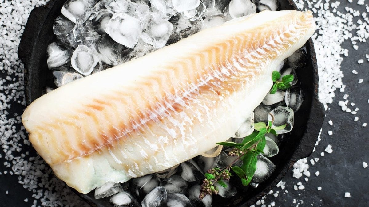 Aus der Vogelperspektive: Ein Kabeljau-Filet liegt auf Eiswürfeln.