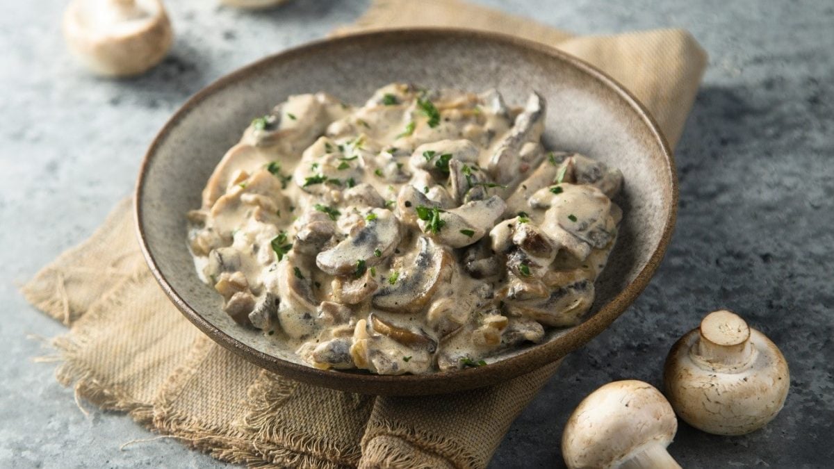 Pilz-Stroganoff: Pilzragout mit Senf, Weißwein und Creme Fraiche in veganer Variante in einer Tonschale, garniert mit frischer Petersilie