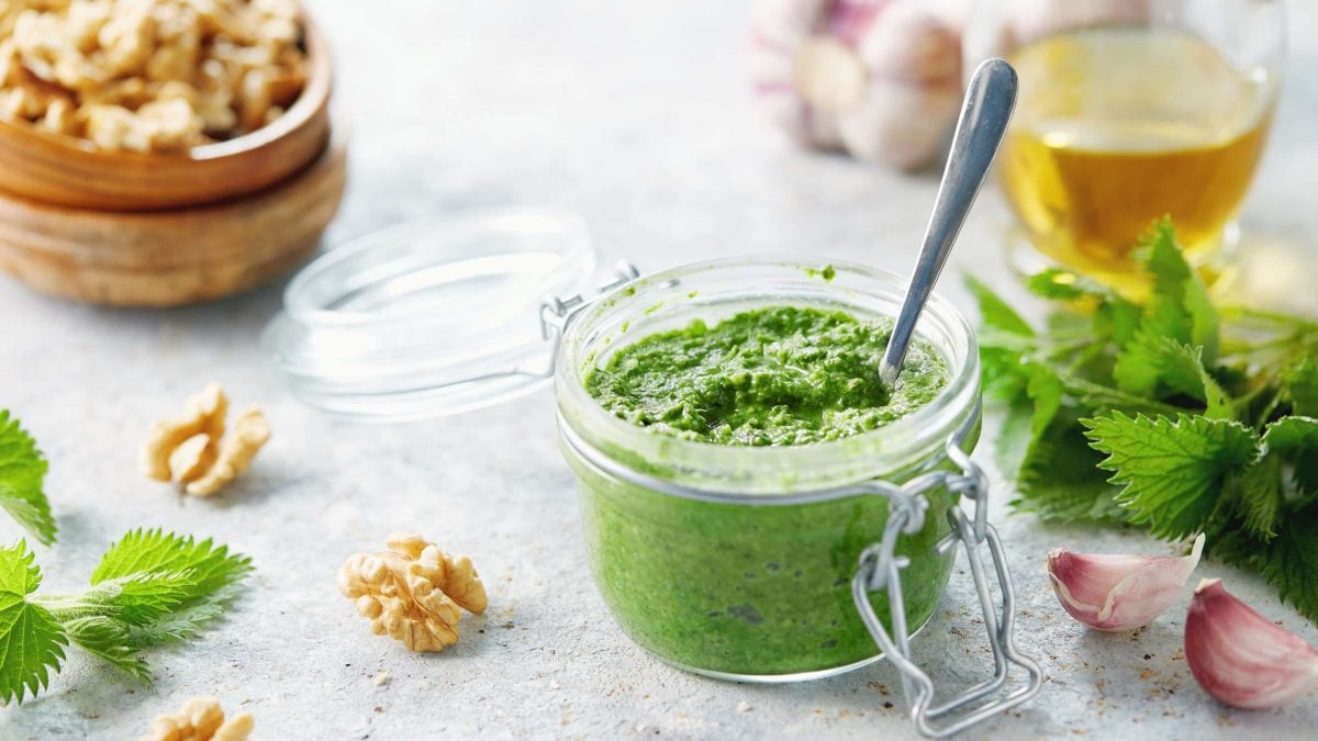 Ein Glas mit Brennnessel-Pesto mit Walnüssen. Im Huntergrund und daneben verschiedene Zutaten.