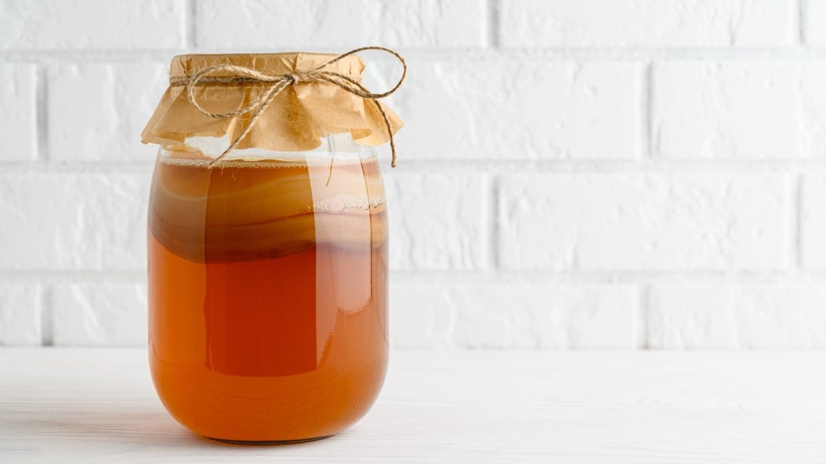 Ein Fermentationsglas mit selbst gemachtem Kombucha vor einer weißen Ziegelwand.