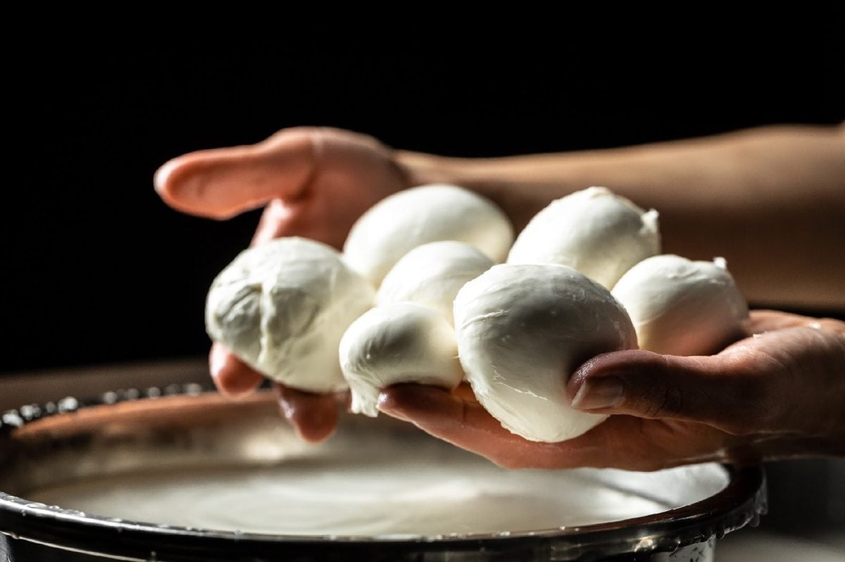 Frischer Mozzarella in zwei Händen über einer Schüssel mit milchiger Flüssigkeit
