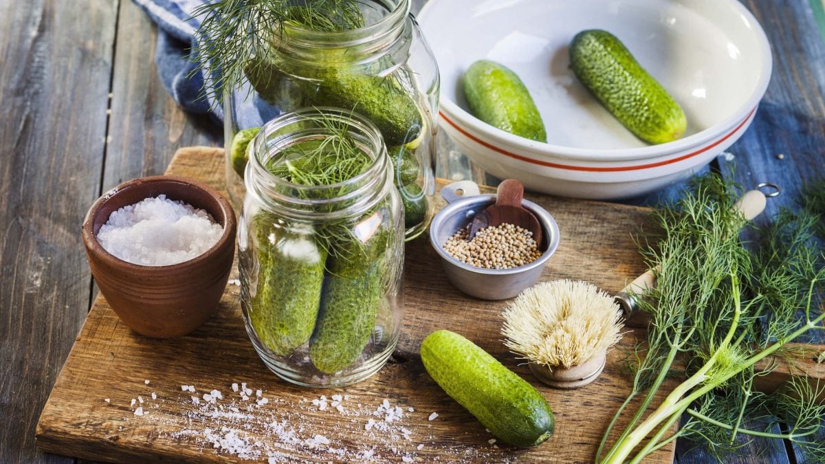 Salz-Dill-Gurken selbst machen – auf einem Brett mit Salz, frischem Dill, Senfkörnern, auf einem hölzernen Tisch