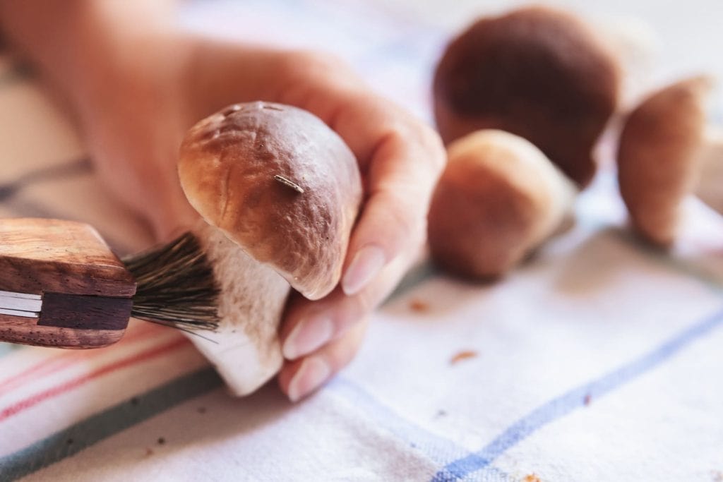 Pilze putzen: Warum du Pilze nicht waschen solltest