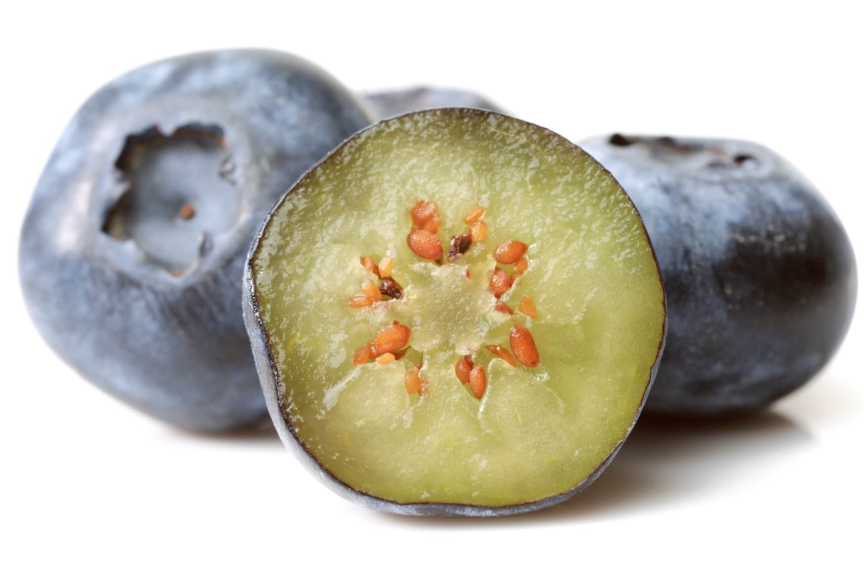 32+ Heidelbeere Und Blaubeere Unterschied, Den heidelbeere blaubeere