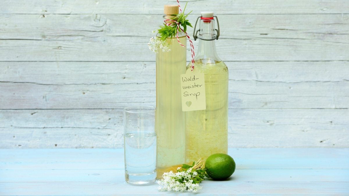 Selbst gemachter Waldmeister-Sirup in zwei Flaschen auf blauem Untergrund vor hellem Holz. An der rechten Schild mit der Aufschrift Waldmeister-Sirup. Frischer Waldmeister als Dekoration an den Flaschen und im Bild. Frontalansicht.