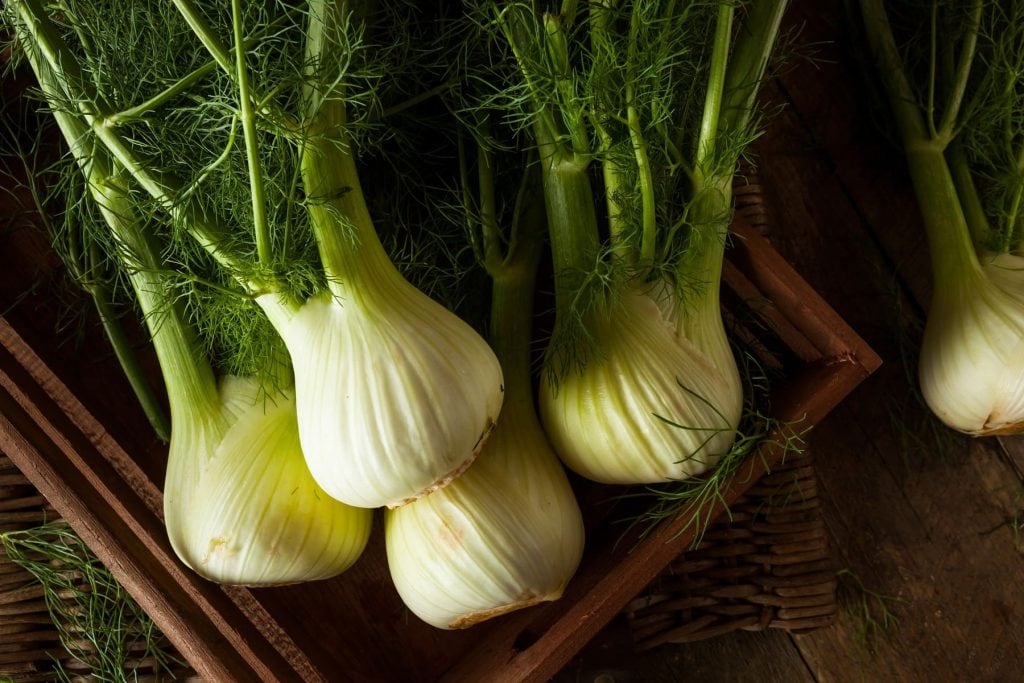 Fenchel roh essen: Diese gesundheitlichen Vorteile erwarten dich