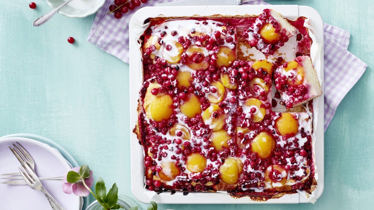 Fruchtiger Johannisbeer-Aprikosen-Blechkuchen, serviert noch warm auf dem Blech und bestreut mit Puderzucker auf einem hellen Tisch.