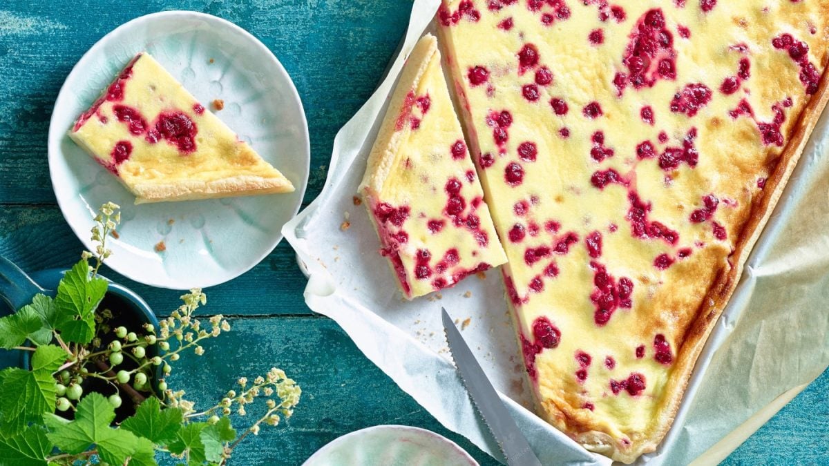 Ein angeschnittener Johannisbeer-Kuchen auf einem dunkelgrünen Untergrund mit einer Pflanze am unteren Bildrand.