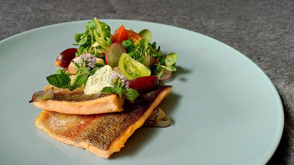 Ein großer blauer Teller in der NAhaufnahme mit 2 Stücken der Lachsforelle, Minzblütenbutter und einem bunten Feldsalat vor einem mattgrauen Hintergrund.