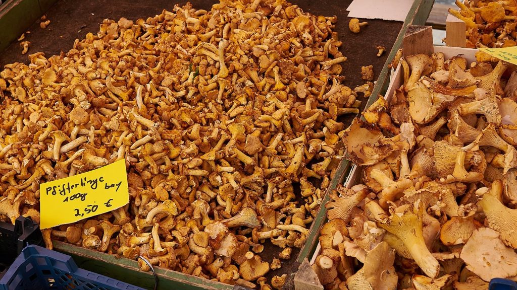 Frische Pfifferlinge kaufen: Tipps für den perfekten Einkauf