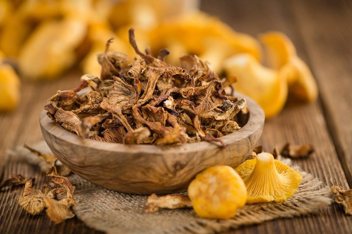 In einer Holzschale liegen getrocknete Pfifferlinge. Daneben liegen frische Pfifferlinge-