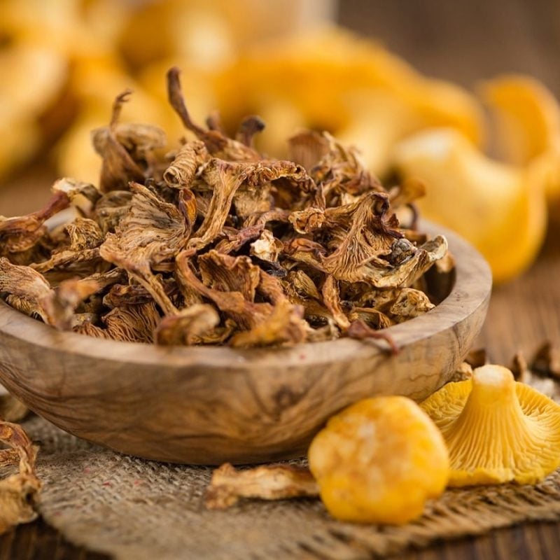 Pfifferlinge trocknen: Die beste Methode, um Pilze haltbar zu machen