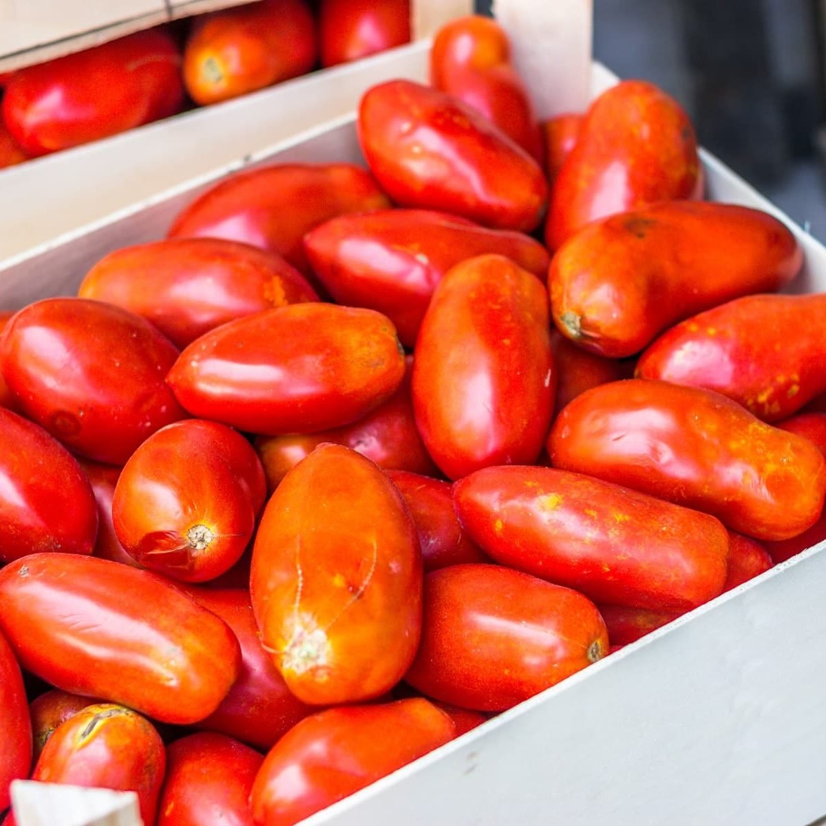 Die rote Königin Italiens – auch aus der Dose: San-Marzano-Tomaten