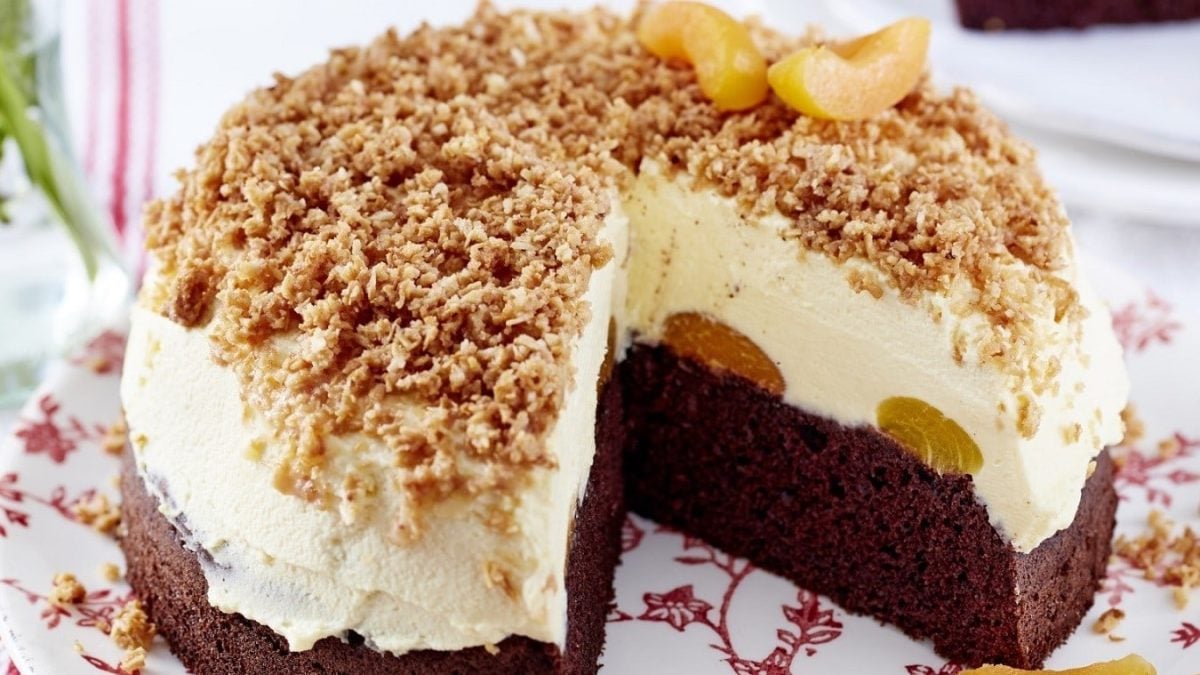Auf einem Teller liegt eine Sägespäne-Aprikosen-Torte. Sie ist mit Kokosraspeln und Aprikosen verziert.