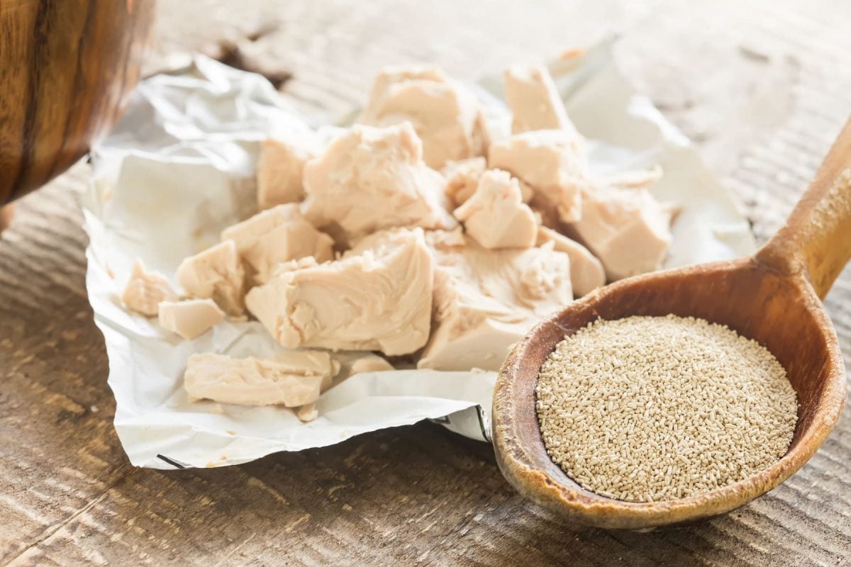 Trockenhefe und frische Hefe nebeneinander, die frische auf Papier, die trockene auf einem Holzlöffel.