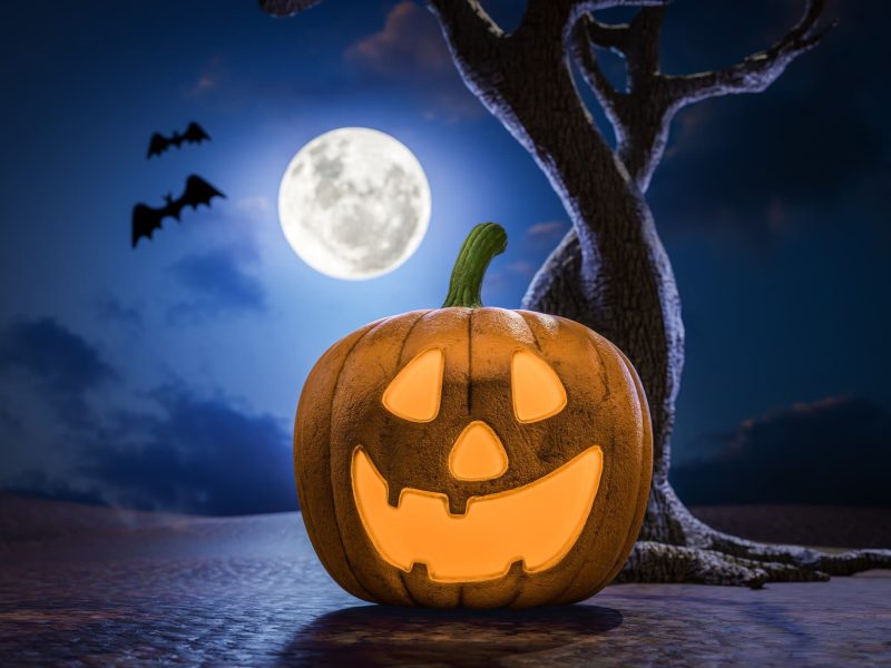 Halloween-Kürbis vor Baum und Nachthimmel. Im Hintergrund Fledermäuse und Vollmond. Frontalansicht