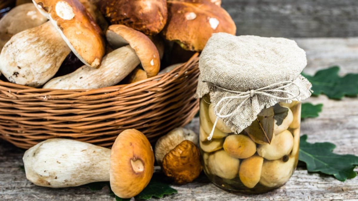Eingelegte Steinpilze im Weckglas auf grauem Untergrund- Daneben Korb mit frischen Steinpilzen. Frontalansicht.