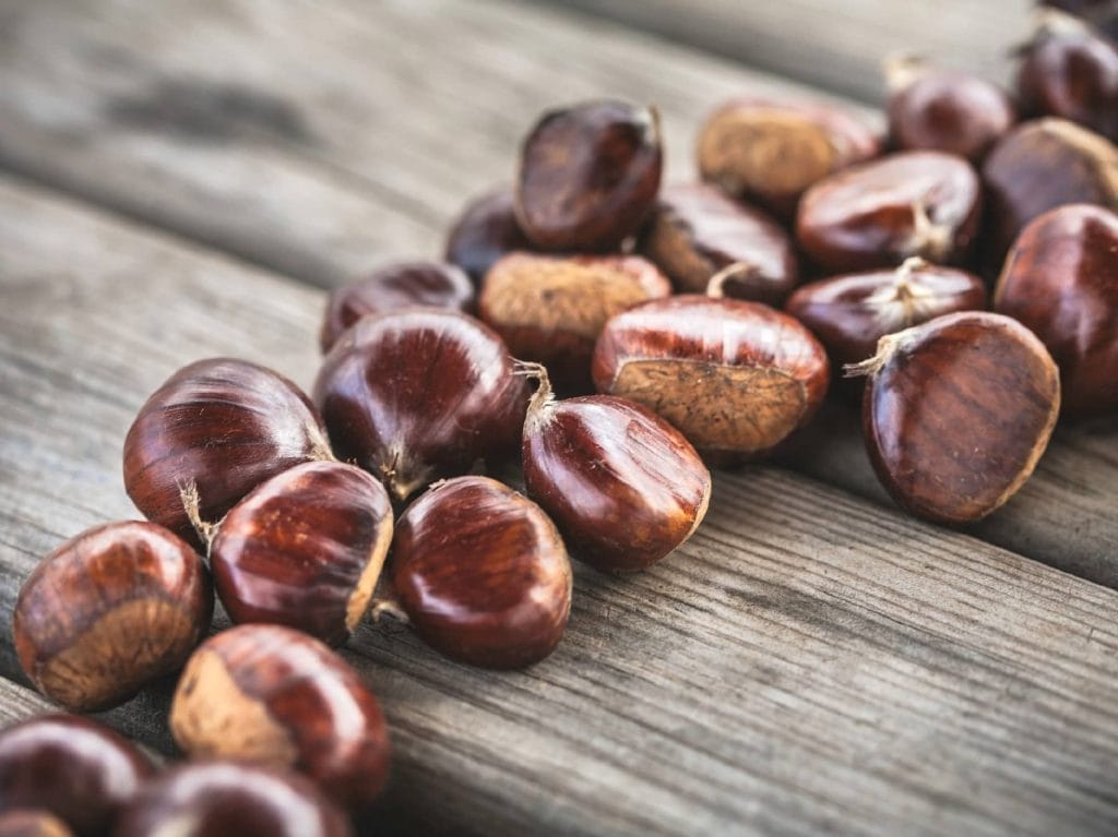 Nachgehakt: Kann man Esskastanien und Maronen roh essen?