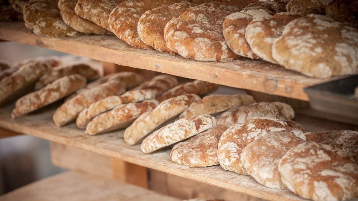 Frontalsicht: Ein Holzregal mit zwei Böden ist vollgepackt mit Brotfladen aus Südtirol. Dort nennt man sie vinschgauer.