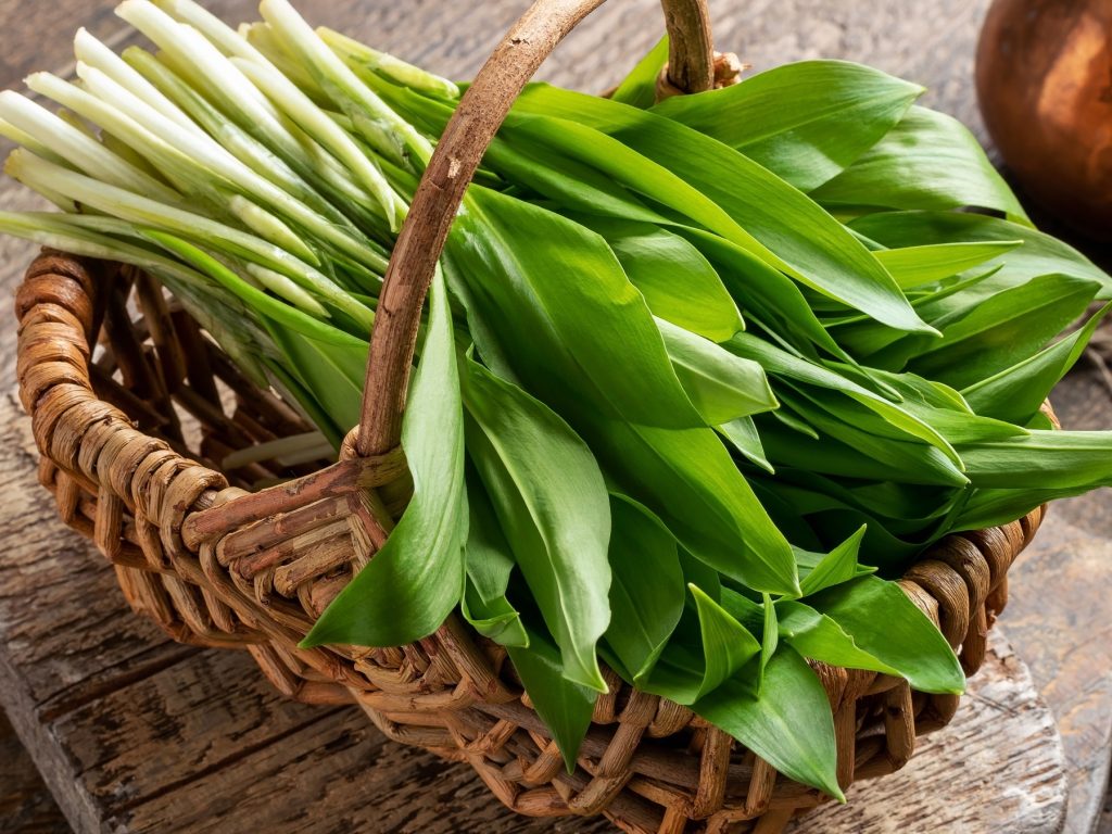 Bärlauch roh essen: Deshalb ist es die gesündeste Variante