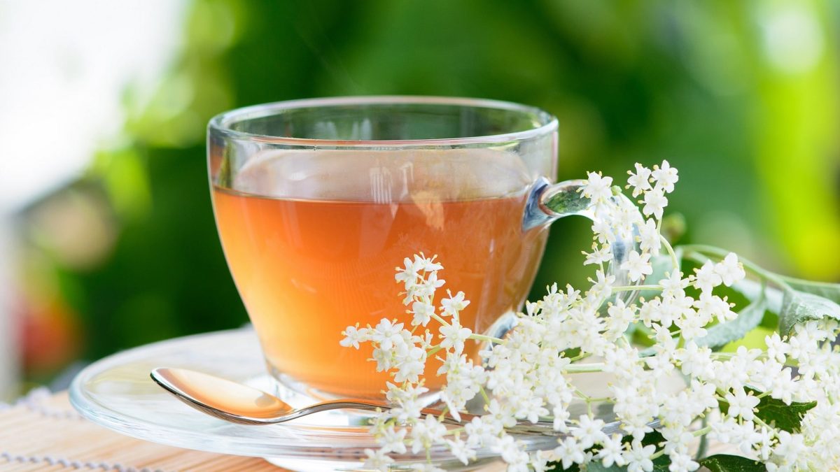 Frontalsicht: eine Tasse aus Glas mit Holunderblütentee steht auf einem kleinen Tisch. Daneben liegen Holunderblüten. Im Hintergrund sind Bäume und Gräser.