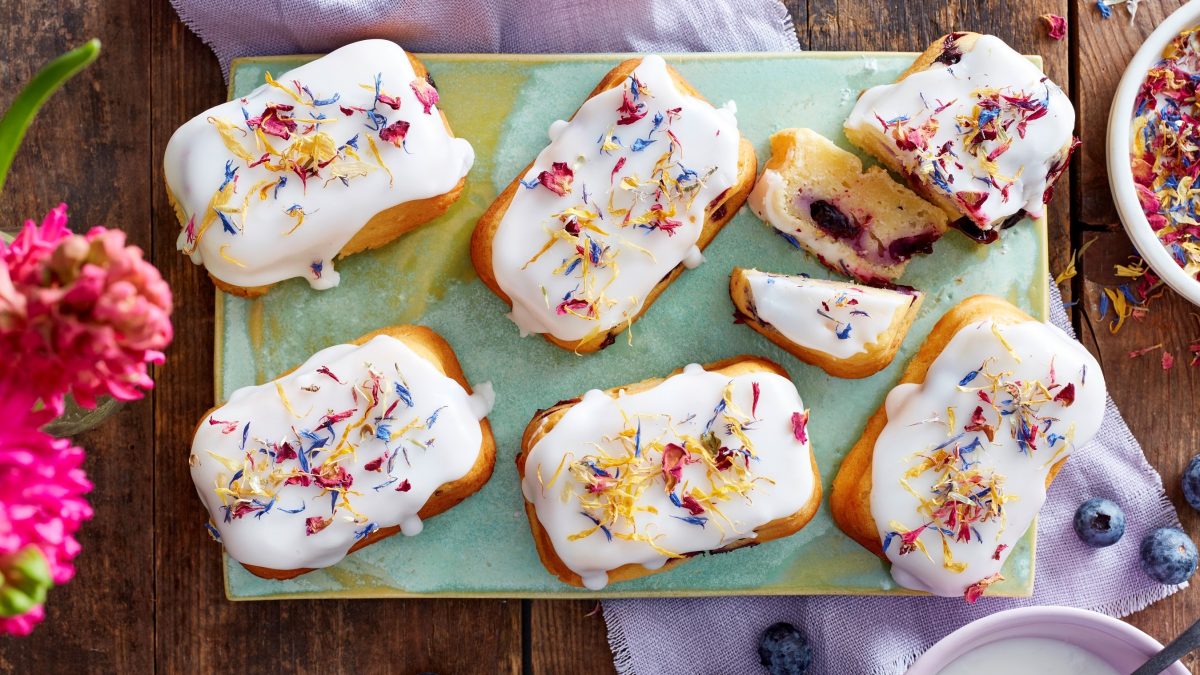 Draufsicht: 6 Mini-Heidelbeer-Zitronenküchlein auf einem hellgrünem Brett, drum herum Blaubeeren und Blumen auf Holzuntergrund.