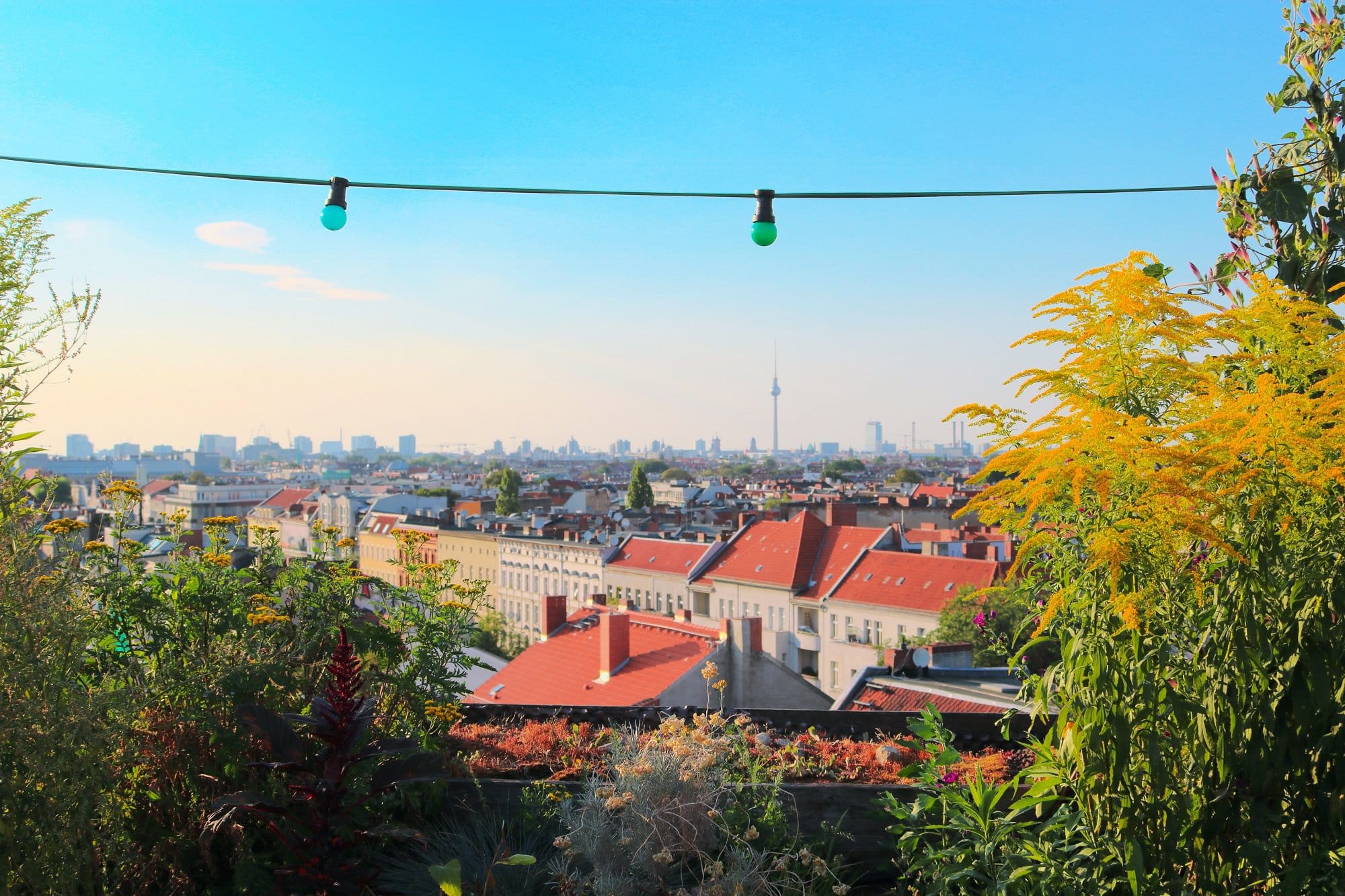 Draußen essen in Berlin: Blick von einem Rooftop auf Berliner Skyline.