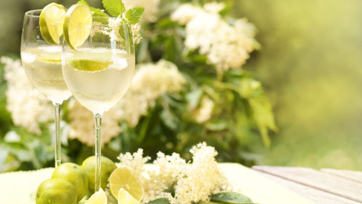 Zwei Lillet Hugo mit Limetten und Holunderblüten auf hellem Untergrund. Frontalansicht.