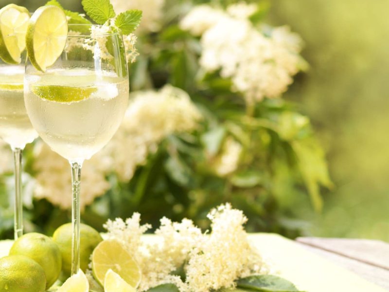 Zwei Lillet Hugo mit Limetten und Holunderblüten auf hellem Untergrund. Frontalansicht.