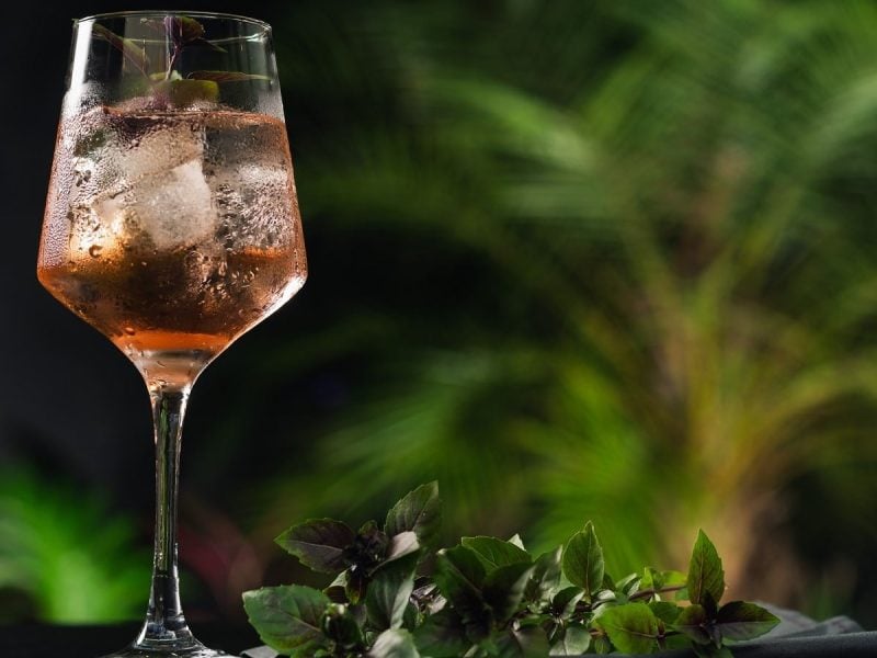 Ein Glas mit Ramazzotti Rosato Mio vor einer Pflanze.