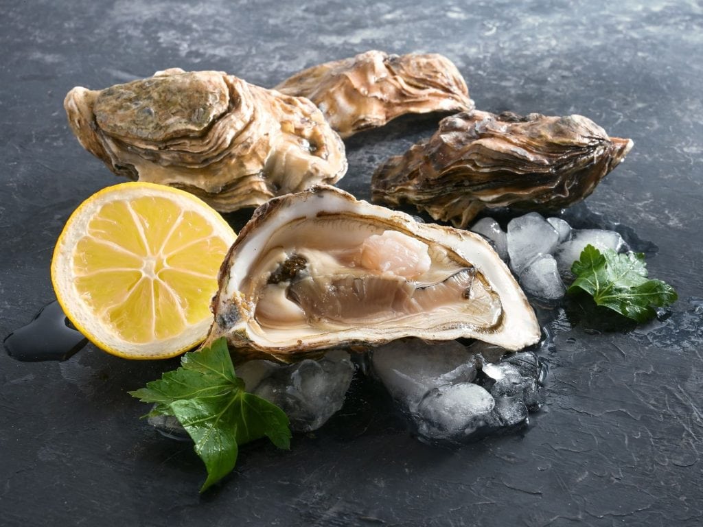 Zum Tag der Muscheln: Unsere 4 Favoriten
