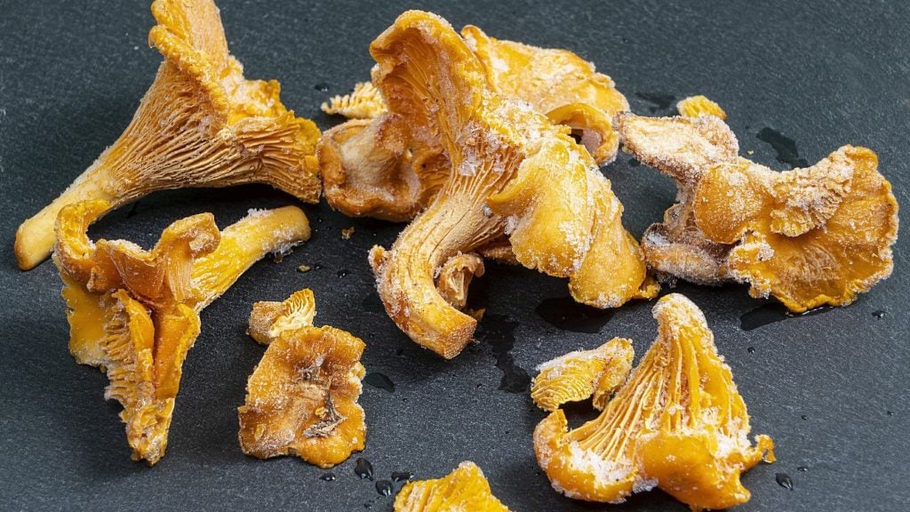 Pfifferlinge einfrieren: Diese Tipps musst du kennen!