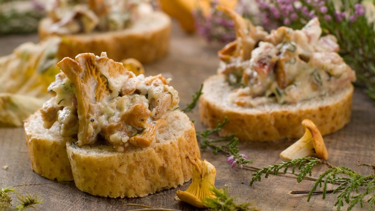 Drei Pfifferling-Häppchen, Baguettescheiben mit gebratenen Rahm-Pfifferlingen belegt, drumherum frische Pilze und blühendes Kraut.