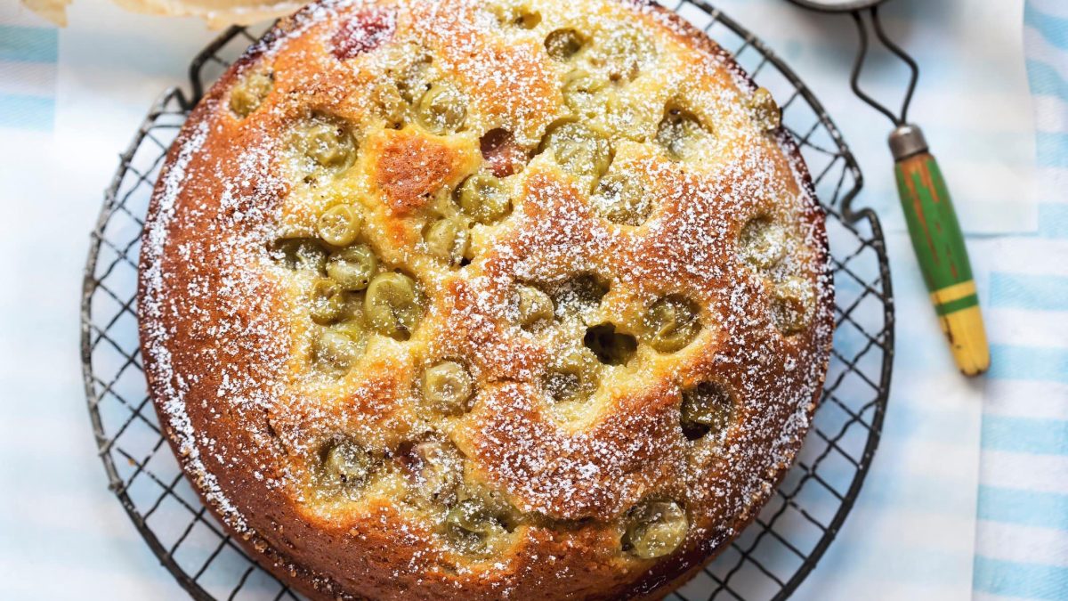 Schneller Stachelbeer-Blechkuchen auf Küchenrost und blau-weißem Untergrund mit Puderzucker. Im Bild altmodischer Puderzuckerstreuer mit blau lackiertem Holzgriff. Draufsicht..