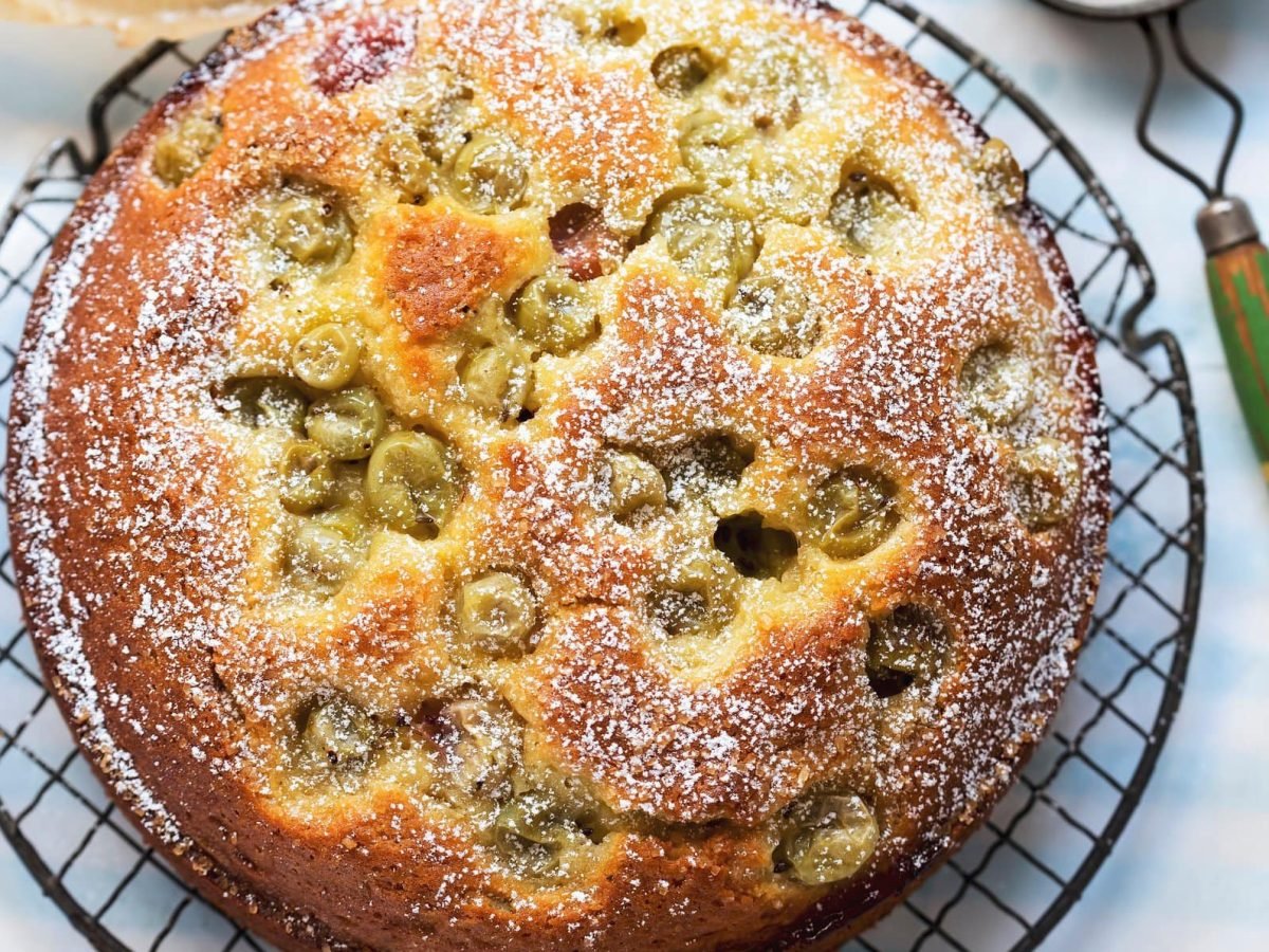 Schneller Stachelbeer-Blechkuchen auf Küchenrost und blau-weißem Untergrund mit Puderzucker. Im Bild altmodischer Puderzuckerstreuer mit blau lackiertem Holzgriff. Draufsicht..