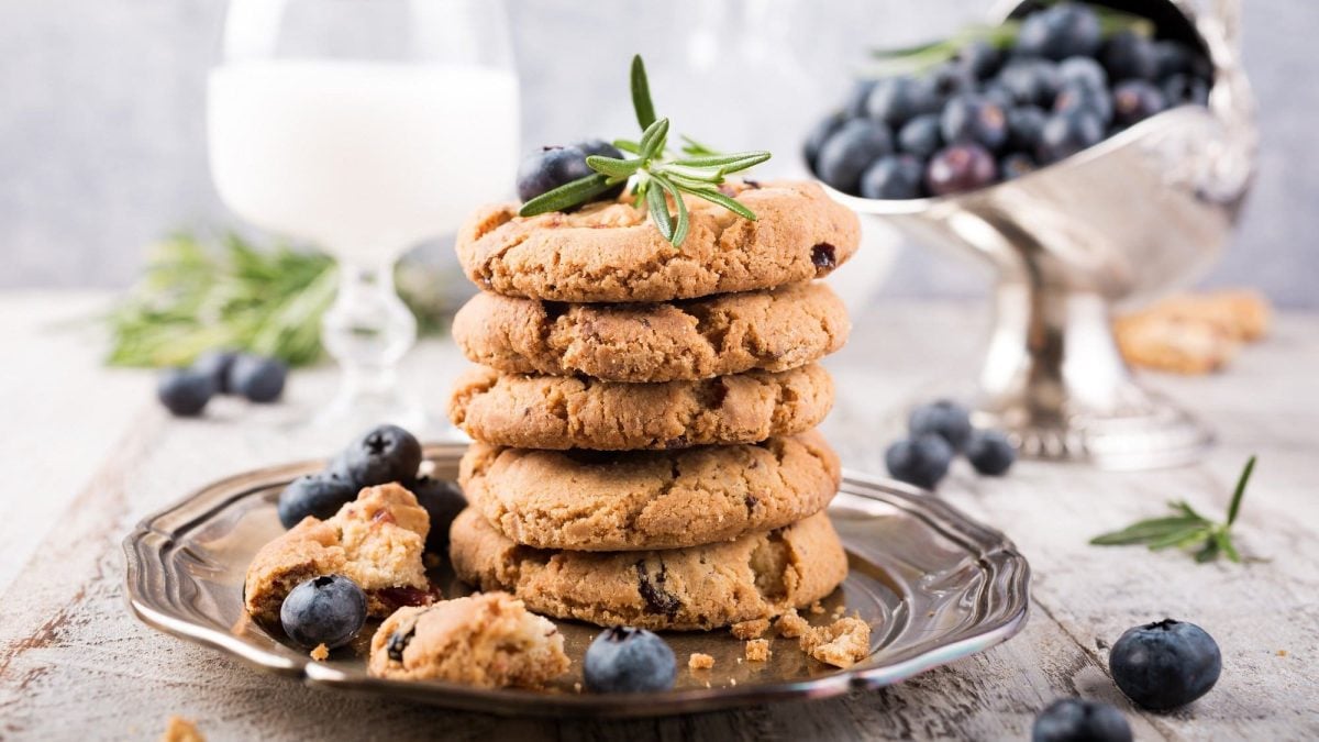 Ein Stapel Blaubeer-Cookies auf einem Teller, einige zerbrochen, daneben und dahinter Blaubeeren und ein Glas MIlch.