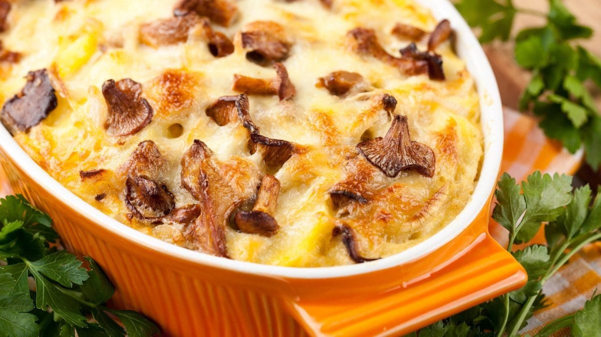 Kartoffelauflauf mit Pfifferlingen in einer Auflaufform, daneben frische Petersilie.
