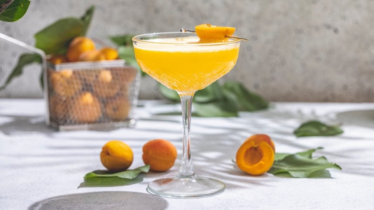 Ein Glas Apricot Lady neben frischen Aprikosen.