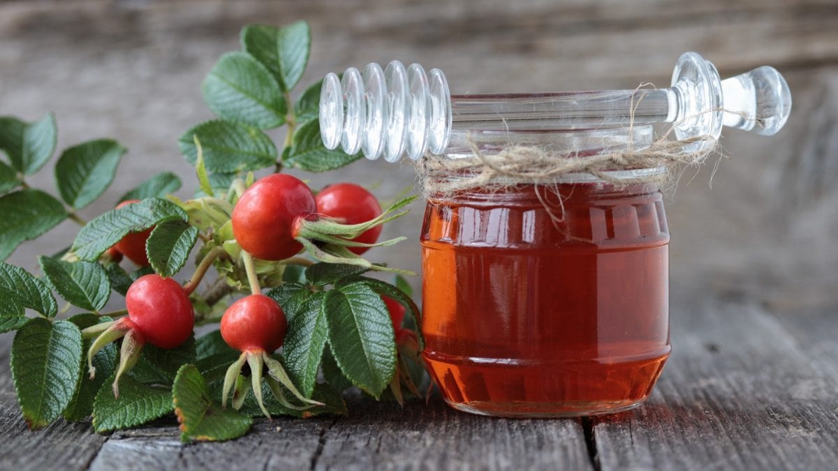 Hagebuttensirup mit Honiglöffel aus Glas und frischen Hagebutten.