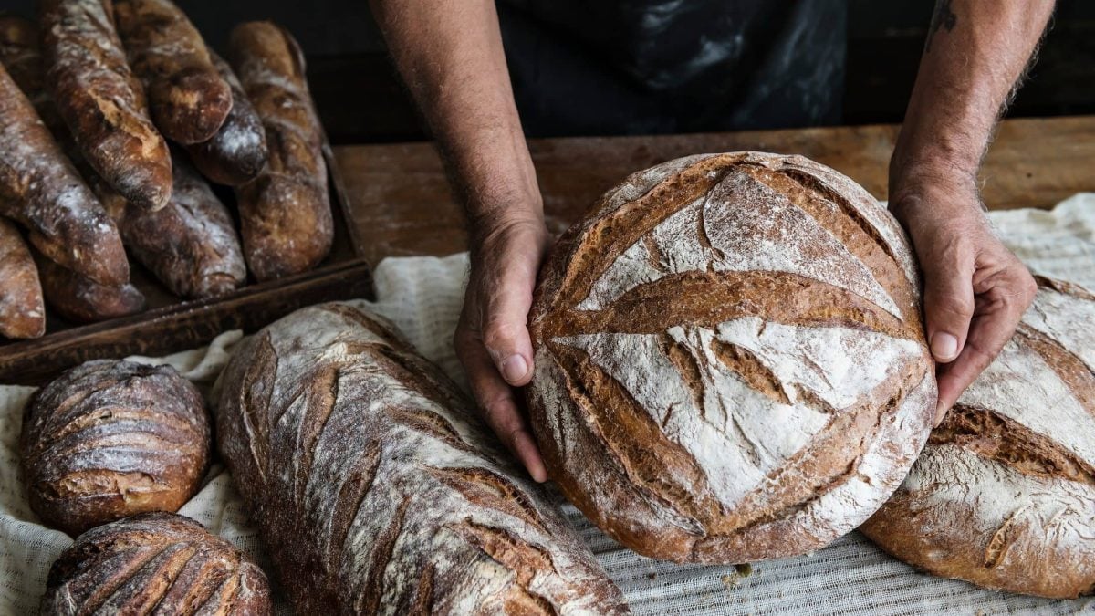 Draufsicht: Zwei Hände halten einen runden Laib Hopfenbrot. Drumherum liegen weitere Brote.