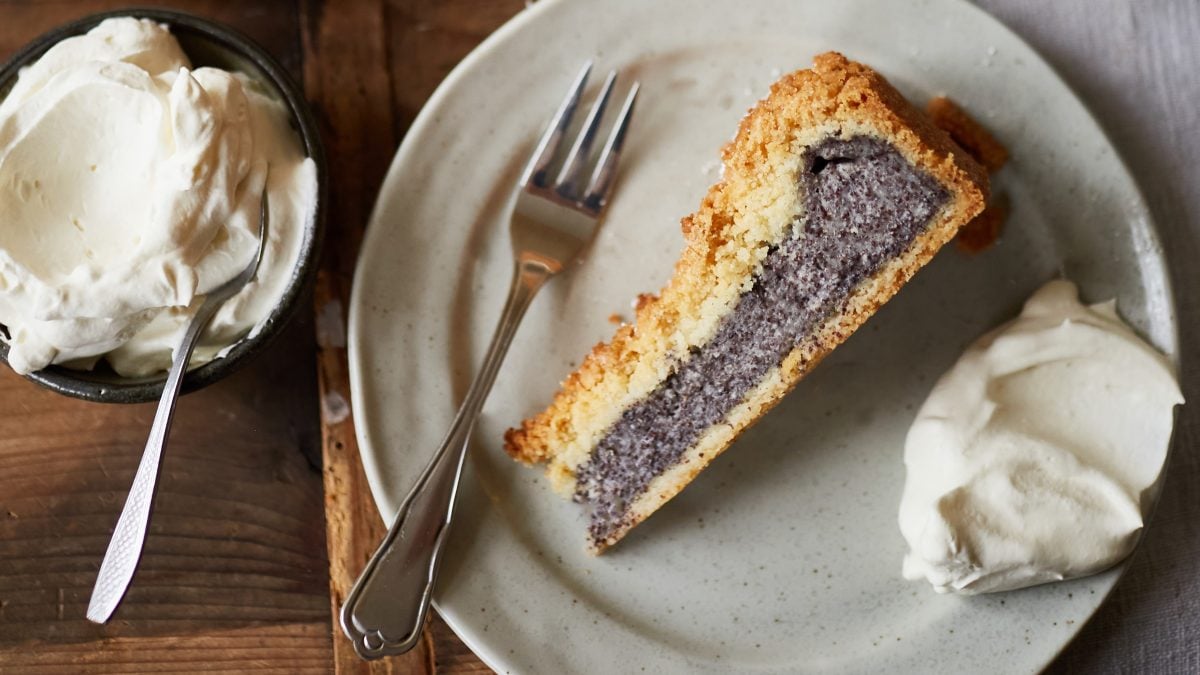 Ein Stück Mohn-Pudding-Kuchen auf einem Teller, darauf auch eine Gabel und ein Klecks Schlagsahne, daneben die Schüssel mit der Sahne. Draufsicht.