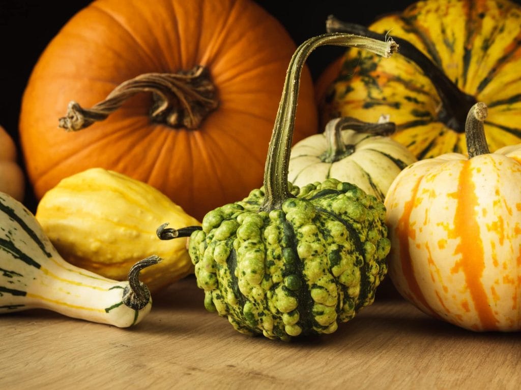 Ist Kürbis gesund? Diese Sorte überzeugt uns am meisten